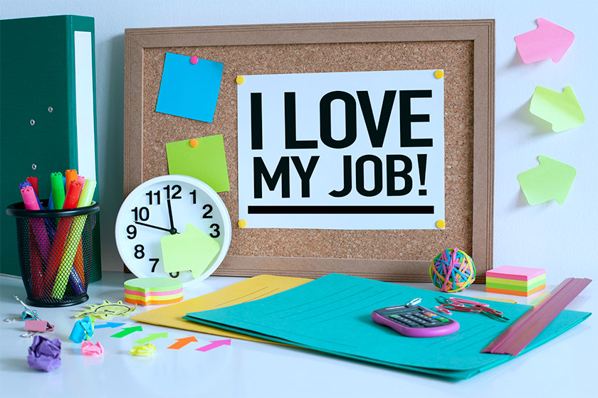 cerca il lavoro che ami